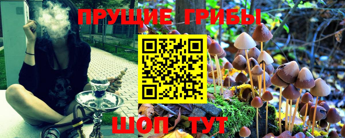Галлюциногенные грибы Magic Shrooms  Вход с VPN  Новоуральск 